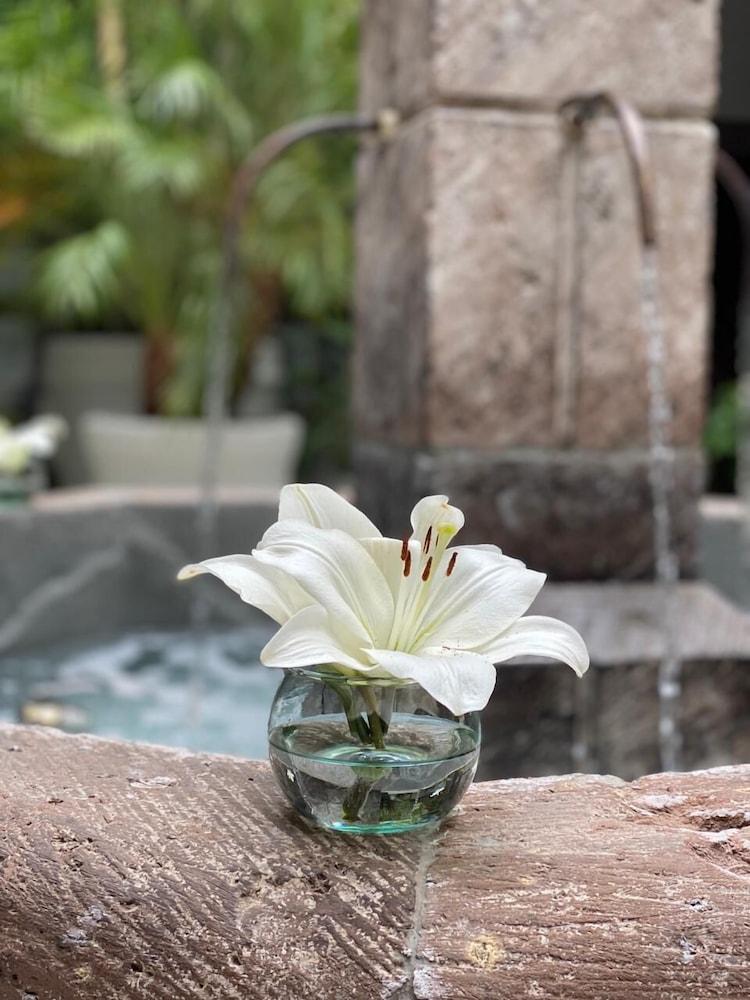 Hotel Boutique Hacienda Guadalupe San Miguel de Allende Bagian luar foto